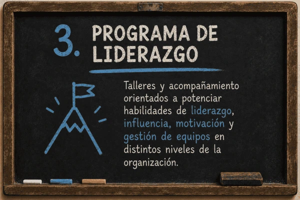 Programa diseñado a medida